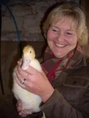 Terrye Teverson with one of the famous ‘twin’ ducks at the Cornish Duck Company.